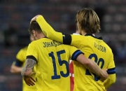 开云体育入口-瑞典队在比赛中取得了胜利的战绩