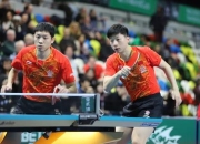 开云体育入口-日本队轻取法国队，马龙统治全场的简单介绍