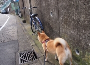 开云体育app-赛道上的星辰，阿拉巴在F1新赛季揭幕战之夜的高光时刻