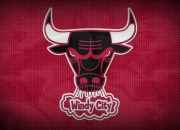 开云足球直播-南美风暴席卷非洲雄鹰，阿什拉夫一锤定音，厄瓜多尔强势攻克尼日利亚