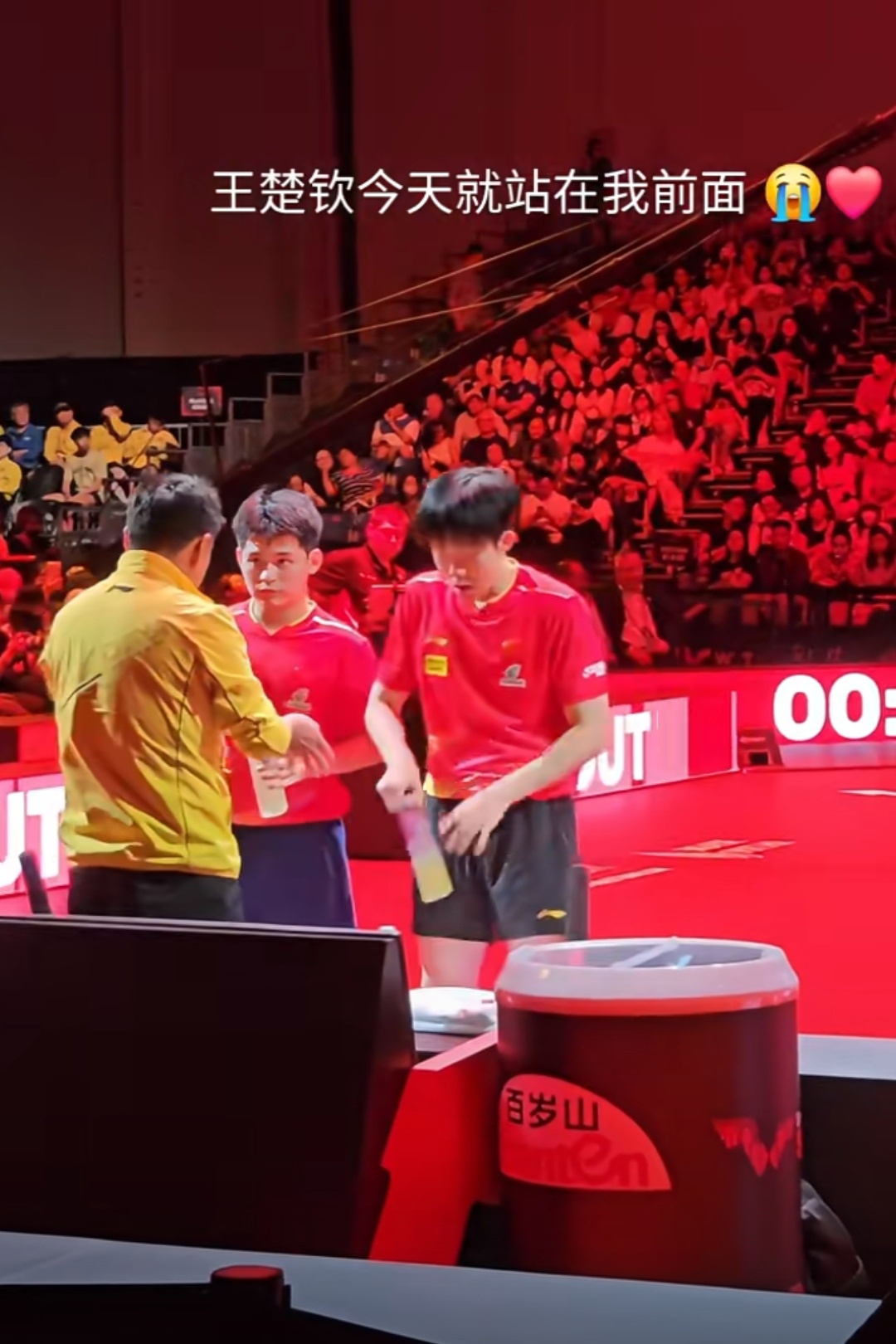 法国乒乓球队横扫比利时乒乓球队，王皓送出助攻的简单介绍