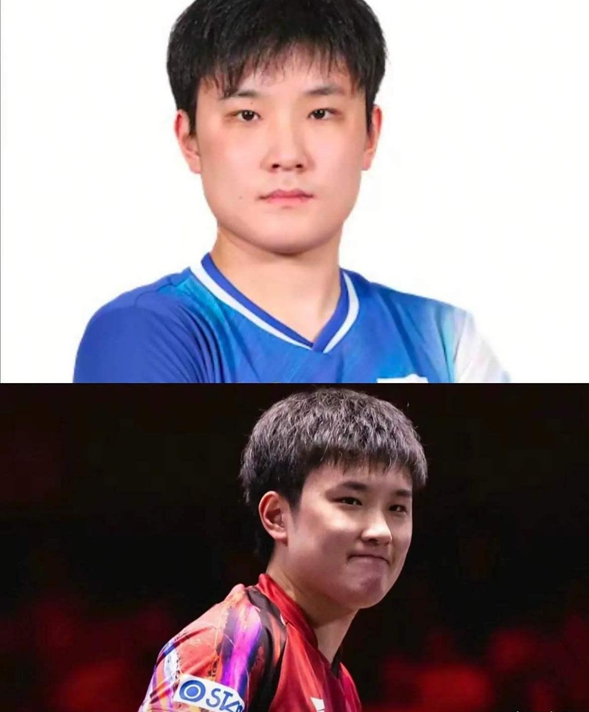 波兰队横扫韩国队，张本智和关键制胜的简单介绍