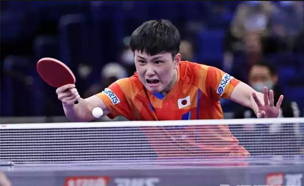 波兰队横扫韩国队，张本智和关键制胜的简单介绍
