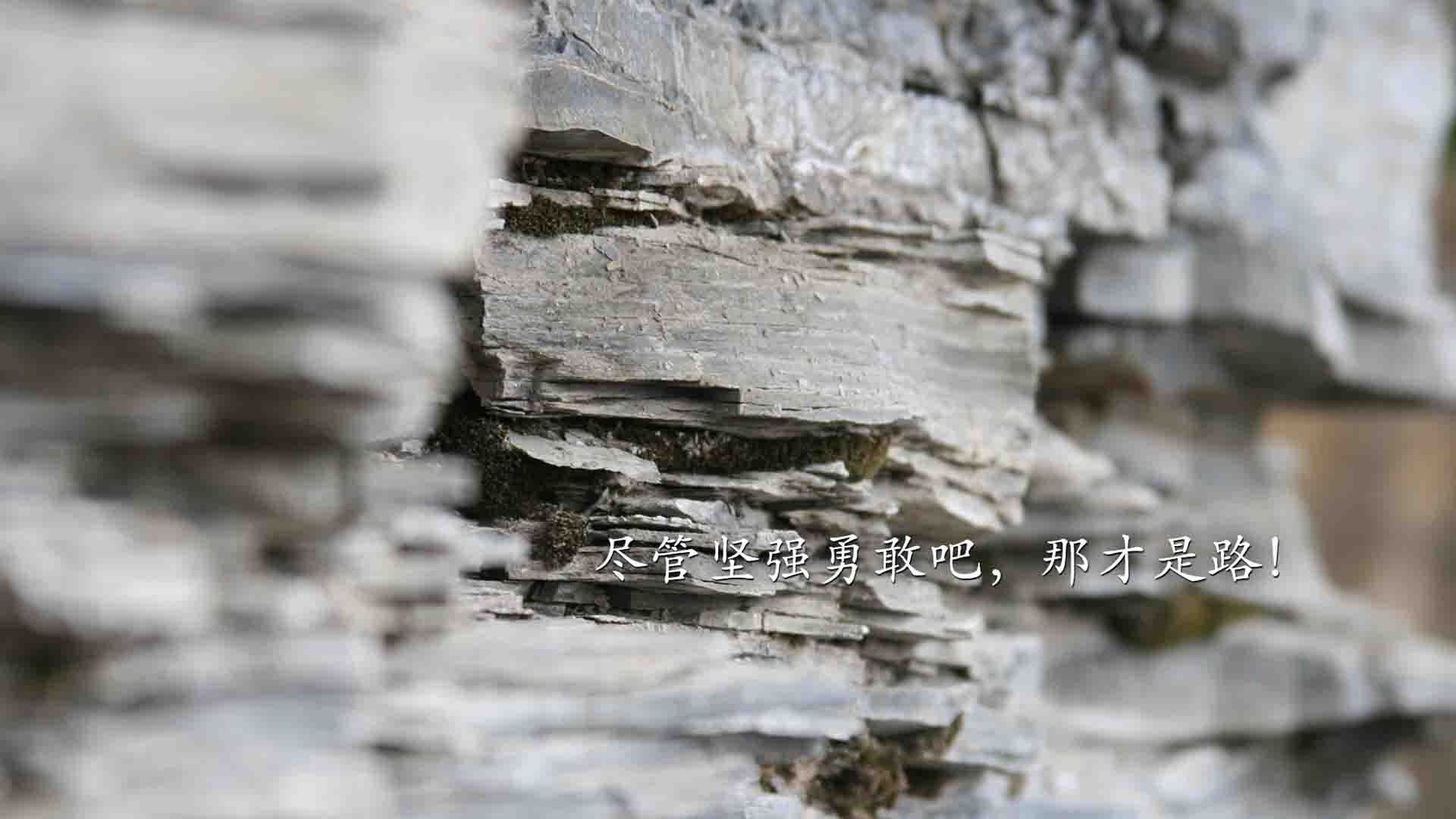 欧冠之夜，若日尼奥的里程碑，抢七之战与中场艺术的永恒印记