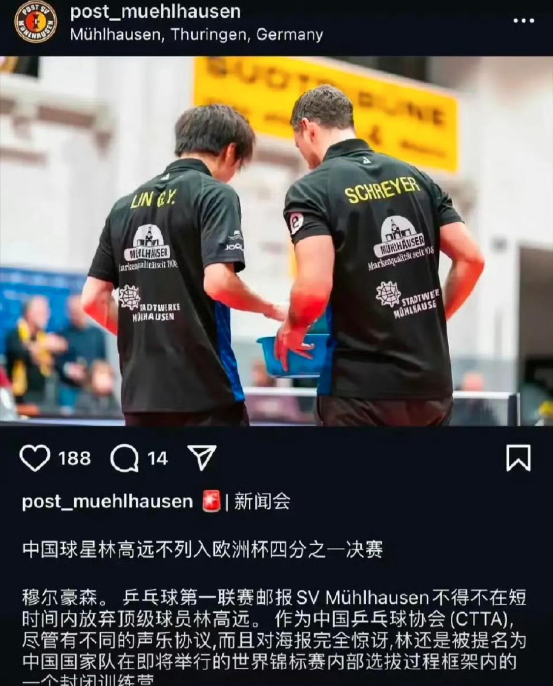 瑞典队横扫德国队，林高远统治全场的简单介绍