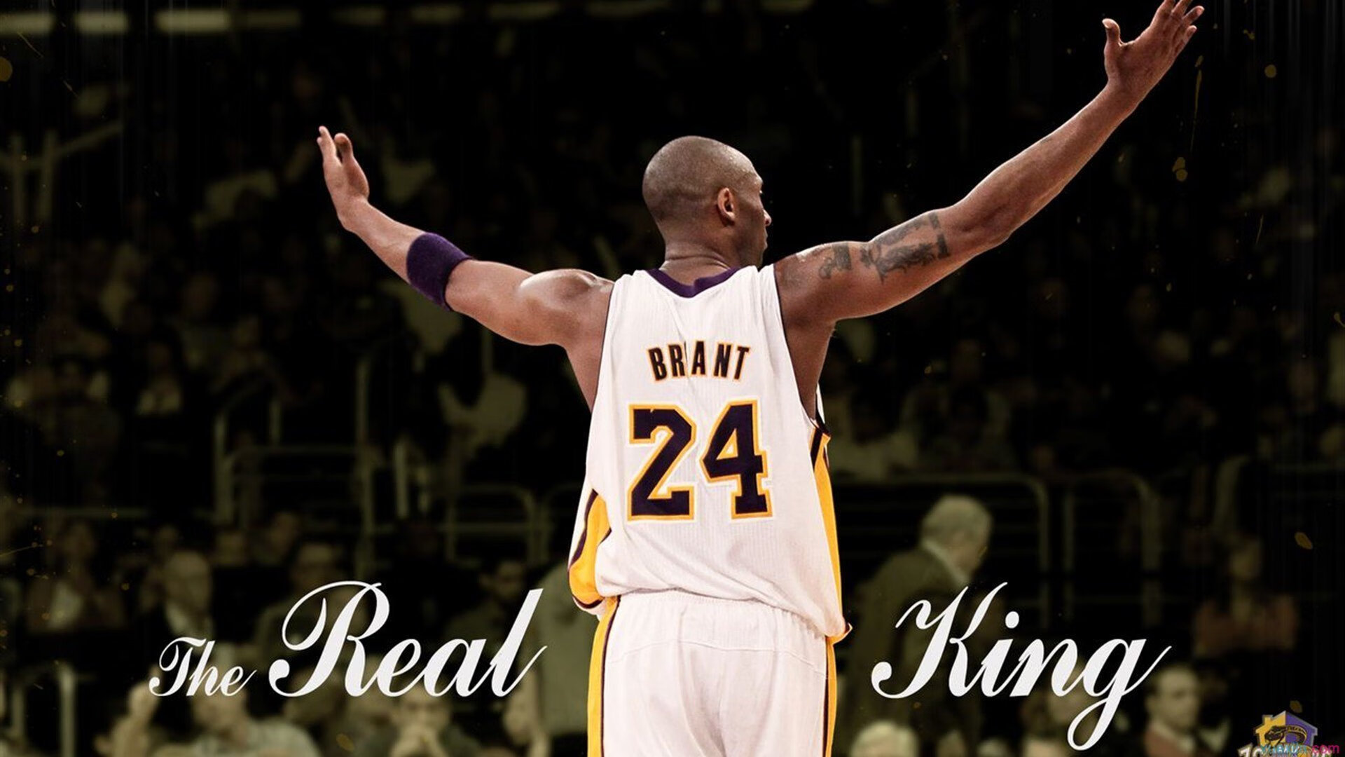 孤勇者的引擎，佩雷兹独扛大旗，迈凯伦力克雷诺的战术博弈